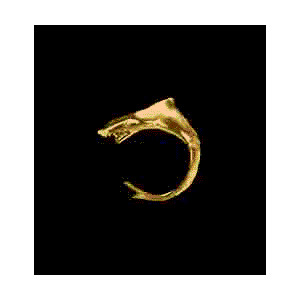 14KT Gold Shark Ring with Diamonds