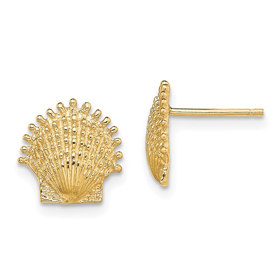 10k Yellow Gold Small Beaded Scallop Shell Earrings