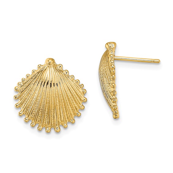 10k Yellow Gold Scallop Shell Earrings Polished Finish