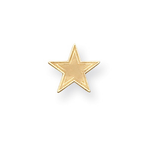 Dallas Cowboys 3/8in 14k Yellow Gold Star Post Earrings NF560