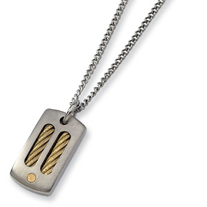 Titanium 18k Gold Plated Necklace