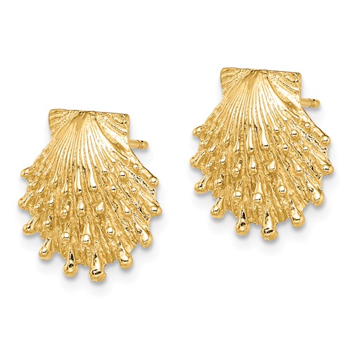 14k Yellow Gold Lion's Paw Shell Earrings