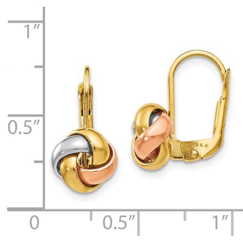 Buy Sterling Silver BIS Hallmarked Jewelry Italian Yellow-Gold Plated  Leverback Rainbow Enamel Heart Drop Earrings for Women at Amazon.in