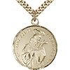 Gold Filled 7/8in St Francis Medal & 24in Chain