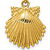 14kt Yellow Gold 3/4in Scallop Shell Pendant