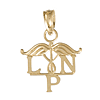 14k Yellow Gold 1/2in LPN Nurse Charm