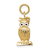 14k Yellow Gold Owl Pendant With Graduation Cap and Enamel