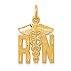 14k Yellow Gold Nurse Charm with Large RN Letters