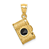 14k Yellow Gold Brushed and Polished Enameled Camera Pendant 1/2in