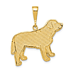 14k Yellow Gold Labrador Pendant 7/8in