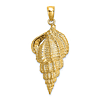 14k Yellow Gold Common Wentletrap Shell Pendant 1in