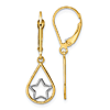 14k Yellow Gold with Rhodium Star in Teardrop Leverback Earrings