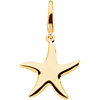 14kt Yellow Gold 5/8in Starfish Charm